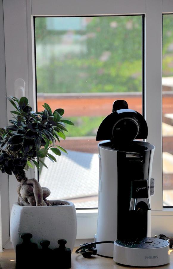 Gemütliche Dachwohnung mit oder ohne Dampfsauna mit Dachterrasse nebeneinander Wolmirstedt Exterior foto